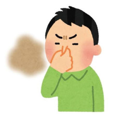 【画像】隅田川、くさそうｗｗｗｗｗｗｗｗｗｗｗｗｗｗｗｗ