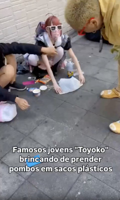 【悲報】トー横キッズさん、生活費を稼ぐ為鳩を捕まえ観光客に売る商売を始めてしまうw