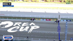 【競馬】ディクテオンがコリアカップ連覇達成！日本馬ワンツー！　コリアスプリントも日本馬ワンツー！