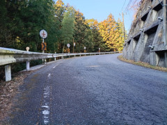 バカ「道交法改正？言うて中央分離帯無いような所で飛ばすバカいないっしょw」国「違います」