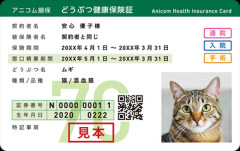 猫飼ったんやが、ペット保険って入ったほうがいいんか？