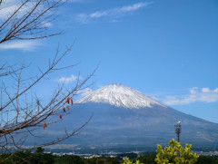 日本人のくせにいまだに富士山に登ったことがないやつｗｗｗｗｗｗｗｗｗｗｗｗｗｗ