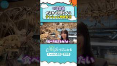 溢れる恐竜愛 #shorts #日向坂46 #日向坂ちゃんねる