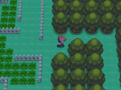 【ポケモン】文字が刻まれていますね うちゅう うまれた ばしょ そのもの はじまりの ばしょ…… 神話の一部のようですが どうやってこれを？