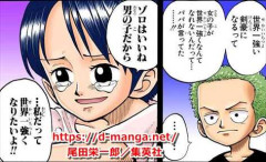 くいな「私女の子だよ？胸も大きくなるし…ゾロはいいよね…男の子だから…」←これ