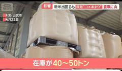 【画像】お米業者、マジで泣く「高く仕入れてた古米が残っているのに、より安い新米が買われていく。僕らの在庫はどうすればいい……」