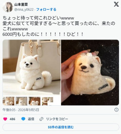 山本里菜さん「ちょっと待って何これひどいww」　通販で6000円で買った商品がこれ