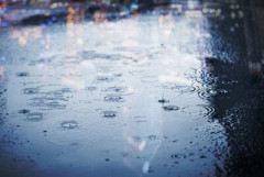 【緊急】 東京さん、大雨開始
