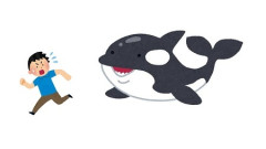 シャチ(知能S 肉体S 社交性S 人気S)