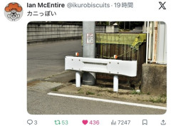 【画像】カニっぽいガードレール、発見されるｗｗｗｗ