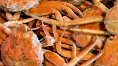 【悲報】「食中毒78人」こめおの冷やし蟹ラーメンから「ドブ川のヤバイ菌」が検出されていた【アサ芸】