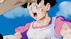 【ドラゴンボール】ビーデル、女の子なのにボコボコにされる