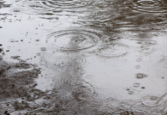 【悲報】東京さん、大雨スタートwwwwwww