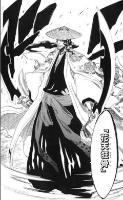 【BLEACH】この斬魄刀って元の名前は花天で一本の刀だったのかな