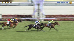 【競馬】サトノレーヴが引退！社台SSで種牡馬入り