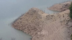 【悲報】香川県、あと3日で貯水率ゼロへｗｗｗｗ
