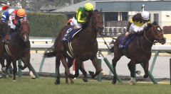 サトノレーヴが電撃引退！　社台スタリオンステーションで種牡馬入り