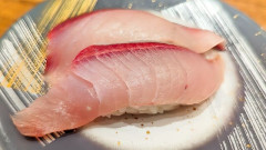 回転寿司はブリと生エビしか食わない