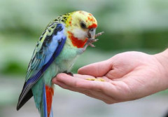 【画像】思わず保存した最高の画像ｗ