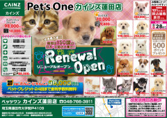 【画像】犬ってこんなに安いの？