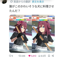 【ウマ娘】厨房に…犬が！