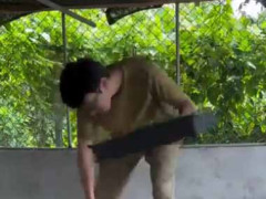 男が緑の葉っぱをたくさん持ってきた。床にパラパラと置いていく → こんな光景になりました…