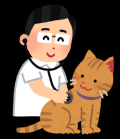 【悲報】猫の治療費が39万円と判明→新しいのを買う案が浮上ｗｗｗｗ
