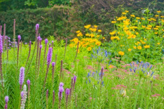 彼女を新車に乗せてデートしたが、何もコメントなし。車内で脂っこいものを食べようとするし、ドアは必要以上に強く閉める。さすがにムカついて文句を言ったら…