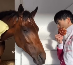 【競馬】エバヤンのドーナツメンコが可愛すぎる！