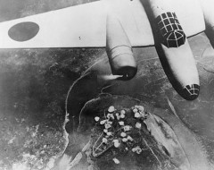 成都大空襲の民間賠償請求の被害者「生きているうちに日本政府から謝罪を受けたい」！