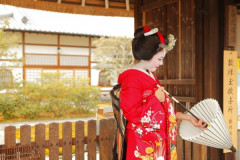 【悲報】舞妓さん、処女を5000万円で売られたり混浴で妊娠させられていた⇒！！！！