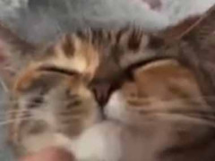 私が編み物をしていた。一石二鳥♪ → 彼はこうなります…