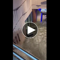 【悲報】名古屋新栄のエニタイムフィットネスさん、逝く・・・・・・・・・