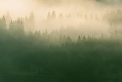 昨日山に散歩に行ったときの写真なんやが