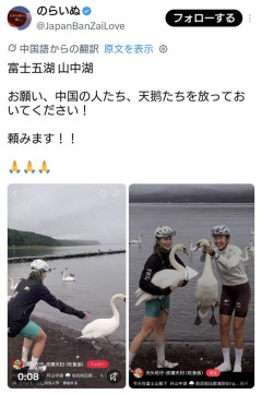 中国人さん、富士五湖・山中湖の白鳥を追いかけたり、首を掴んで逆さまに吊るしたりして遊ぶ