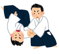 合気道の達人「ふんっ！」弟子「うわあああああああ！！(ぶっ倒れる)」←いや、ヤラセだよね🥺