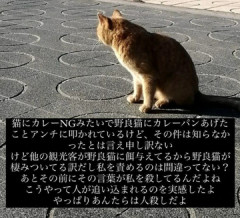 Syamu、猫にカレーパンを与えた件を叩かれブチギレ反論