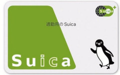 Suica「ペンギンの後継者、3人まで絞られるｗｗｗｗｗ」