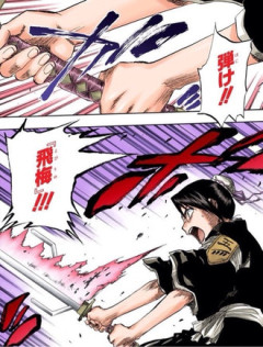 【BLEACH】飛梅という斬魄刀