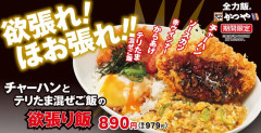 【悲報】かつやの次の期間限定メニュー、完全に迷走ｗｗｗｗｗｗｗｗｗｗｗ