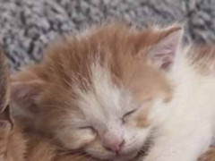 あれから２年が経った。でも、かわいい君は変わらないね → ２０２６年はこんな様子です…