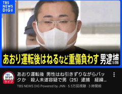 【画像】マスクのサイズが全く合っていない男が煽り運転で逮捕される