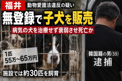 【速報】病気の犬に治療受けさせず衰弱、無登録で子犬販売など完全にもの扱いにした韓国籍の男を逮捕 氏名は報道しない自由