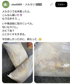 【閲覧注意】ママさん咽び泣く「メルカリでお米買って届いたのがこれ」
