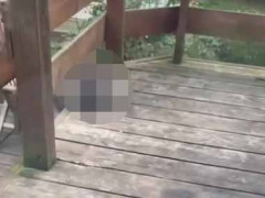 色白の彼女がテラスでランチをしていた。うまそうなモン食っとるやんけ → ヤカラが現れた…