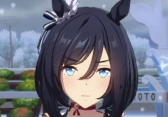 違くて…人間とウマ娘の種族差を意識してるのが大事で…