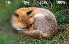 JPG・PNGは過去の遺物　新しい画像フォーマット「JXL」が誕生　Chrome、Safari、Firefoxが対応