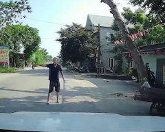 【動画】木の伐採作業中の不注意で通行人が亡くなった事故。