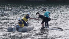 【悲報】釣りを楽しんでいた男二人、立つ場所すらなくなるまで釣りを楽しみ無事救助される