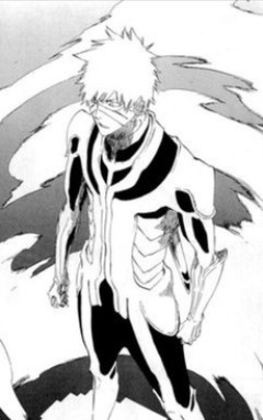 【BLEACH】一護のダサいフォーム